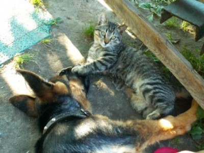 PICT0011.JPG