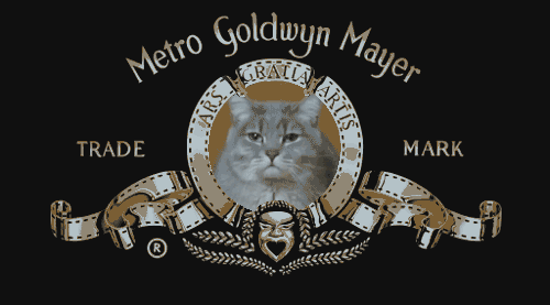 giphy.gif