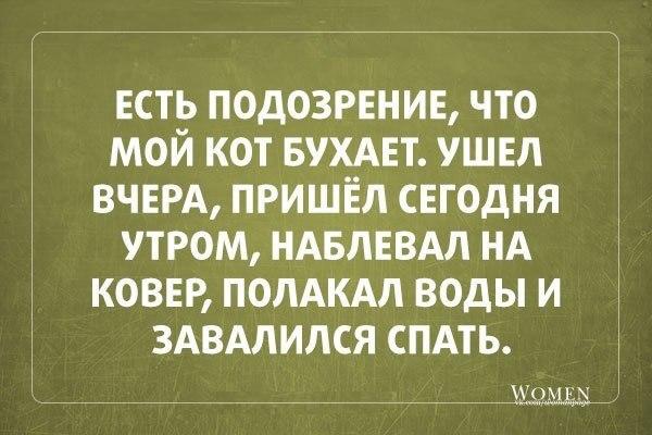 SrxU8LyOYSk.jpg