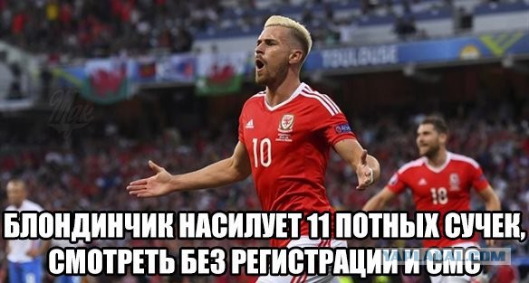 7936482.jpg