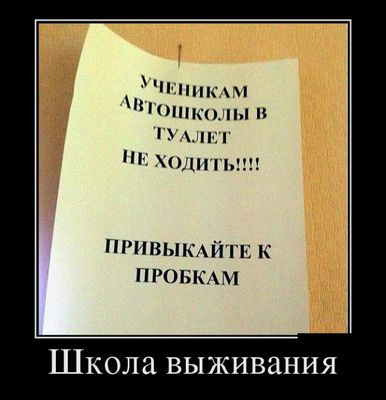 1438147659_27.jpg