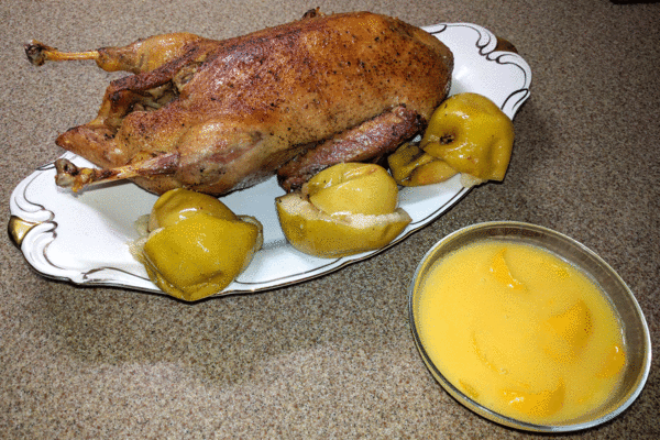 duck_1.gif (1.65 MiB) Просмотров: 1924 duck_1.gif