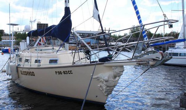 ce17ff0afca4d54350f67ee1a99c51ec.jpg (49.56 KiB) Просмотров: 1135 ce17ff0afca4d54350f67ee1a99c51ec.jpg