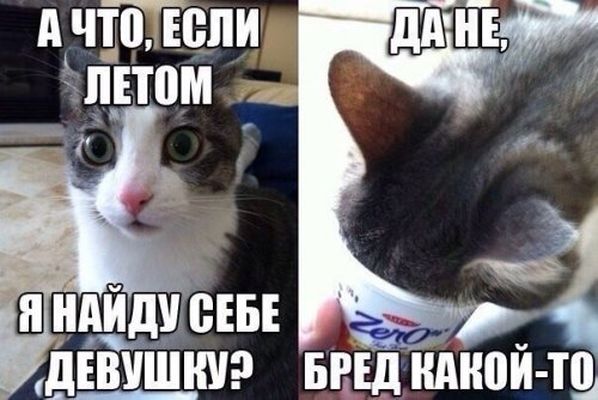 1461242671_fotomemy-3.jpg
