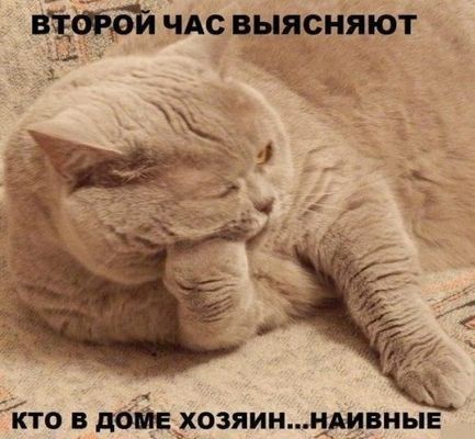 1461570844_fotomemy-3.jpg