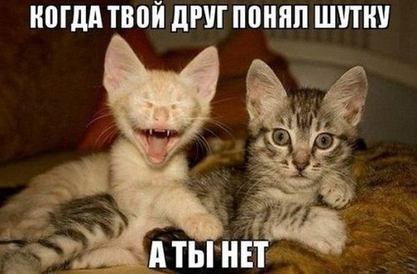 1461570898_fotomemy-6.jpg