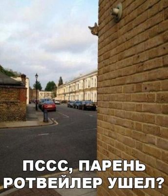 1461570890_fotomemy-9.jpg