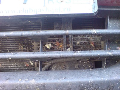 DSC00648.jpg (193.93 KiB) Просмотров: 1779 DSC00648.jpg