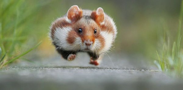 thumb.jpg (35 KiB) Просмотров: 5322 thumb.jpg