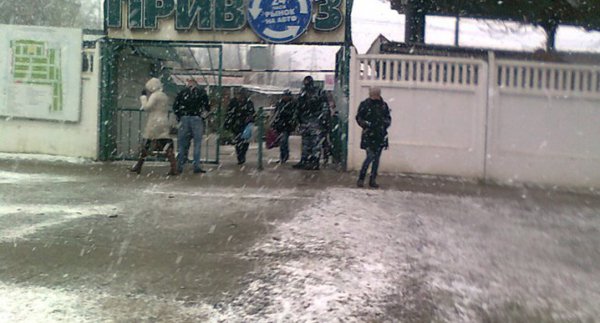 1481826653_rinok3.jpg