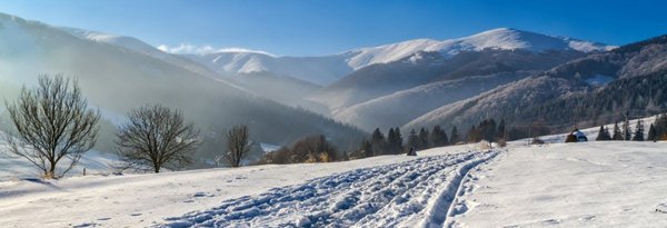 1320_450_1484380921-6227.jpg (136.1 KiB) Просмотров: 1239 1320_450_1484380921-6227.jpg