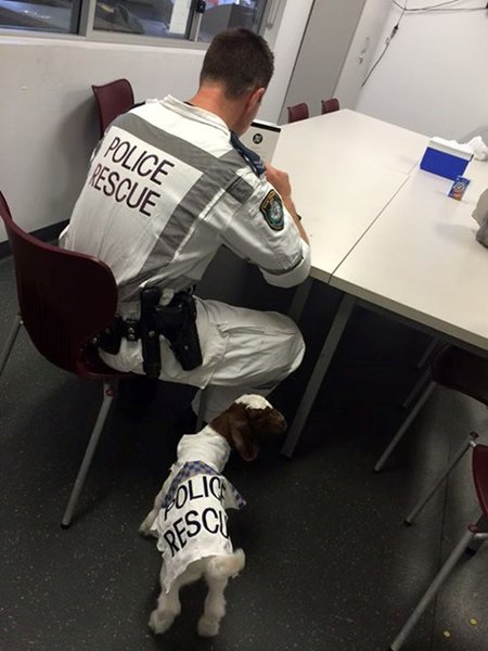 1703830.jpg (76.53 KiB) Просмотров: 1266 1703830.jpg