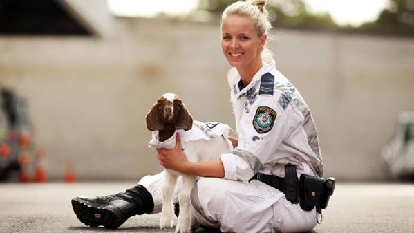 1703829.jpg (51.22 KiB) Просмотров: 1266 1703829.jpg