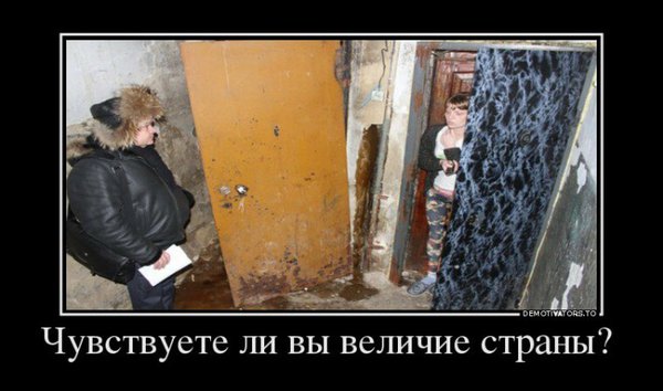 1488411351-4c2154c04aeceffae4ac98d3bc5961b3.jpg