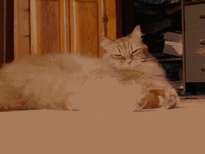 Resize of Resize of DSC00123.JPG (43.88 KiB) Просмотров: 2501 Resize of Resize of DSC00123.JPG