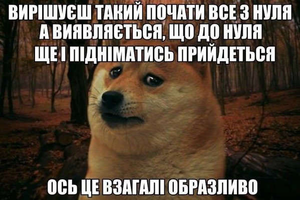 h0a968czjngo4bzhh62g.jpg