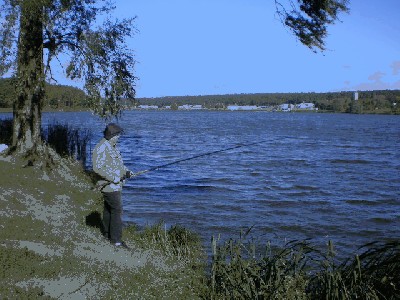 P9090027_resize.JPG (133.11 KiB) Просмотров: 2091 P9090027_resize.JPG