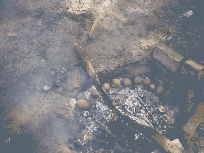 P9090145_resize.JPG (126.37 KiB) Просмотров: 2086 P9090145_resize.JPG