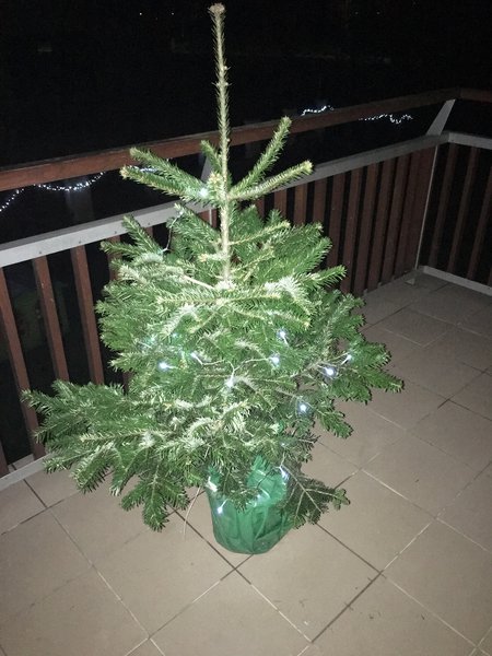 07091270-0FD1-490A-A739-A9F736822202.jpeg (2.73 MiB) Просмотров: 9540 07091270-0FD1-490A-A739-A9F736822202.jpeg