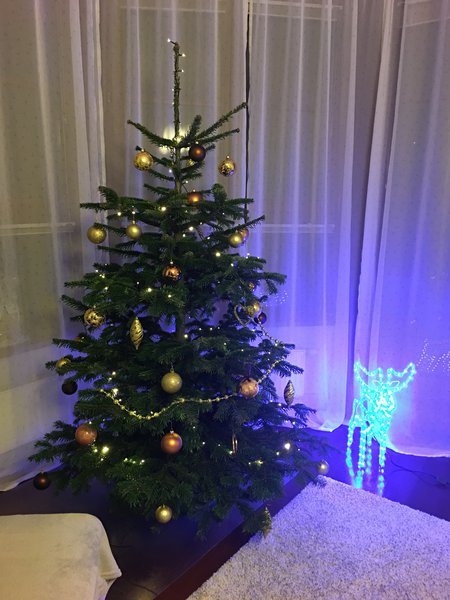 2343066C-387C-4A30-85AA-8396DA02F00D.jpeg (2.13 MiB) Просмотров: 9540 2343066C-387C-4A30-85AA-8396DA02F00D.jpeg