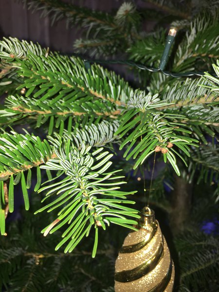 429FF452-C563-4816-B24F-F61AB3AC95EA.jpeg (2.57 MiB) Просмотров: 9540 429FF452-C563-4816-B24F-F61AB3AC95EA.jpeg