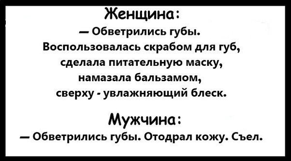10912929.jpg