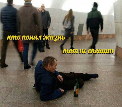 1515151786_fotomemy-29.jpg