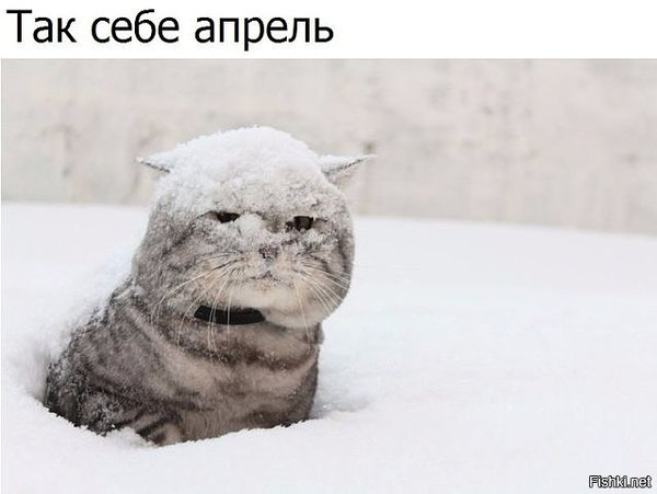 a24fcac4cf368d0ff87789a0bb8f9d7e.jpg