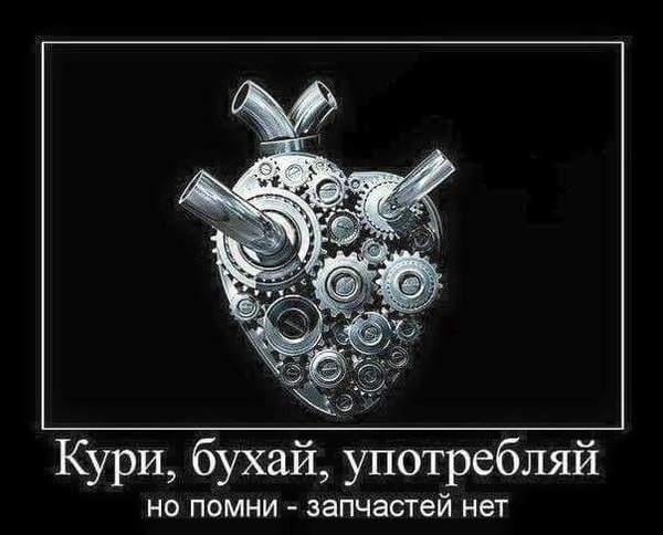 30707551_167763734053503_7049079185813274624_n.jpg (33.88 KiB) Просмотров: 2843 30707551_167763734053503_7049079185813274624_n.jpg