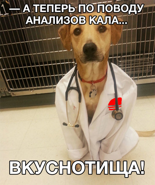 1522077225123950277.jpg (398.5 KiB) Просмотров: 2672 1522077225123950277.jpg