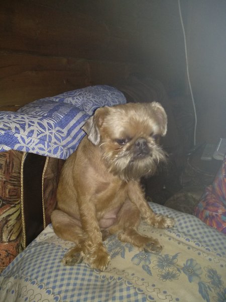 IMG_20180707_180344.jpg (3.49 MiB) Просмотров: 2890 IMG_20180707_180344.jpg