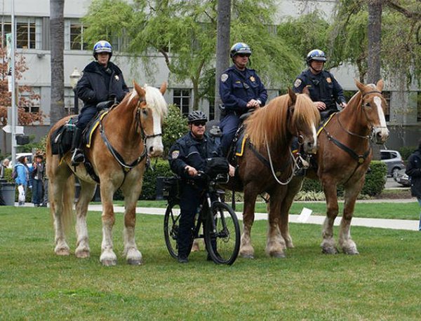 1495696346_44.jpg (88.83 KiB) Просмотров: 2259 1495696346_44.jpg