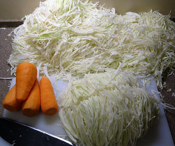 Cabbage.jpg