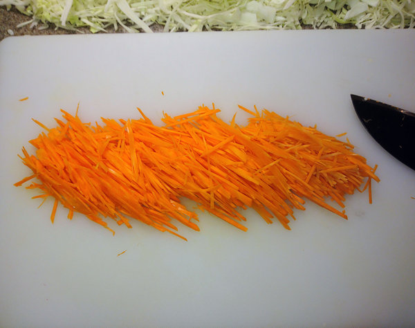 Carrot4.jpg