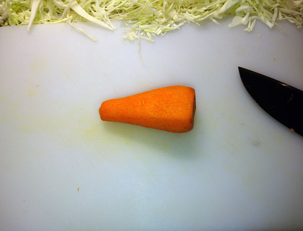 Carrot1.jpg