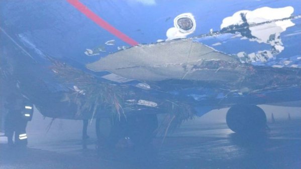 60.jpeg (41.29 KiB) Просмотров: 1108 60.jpeg