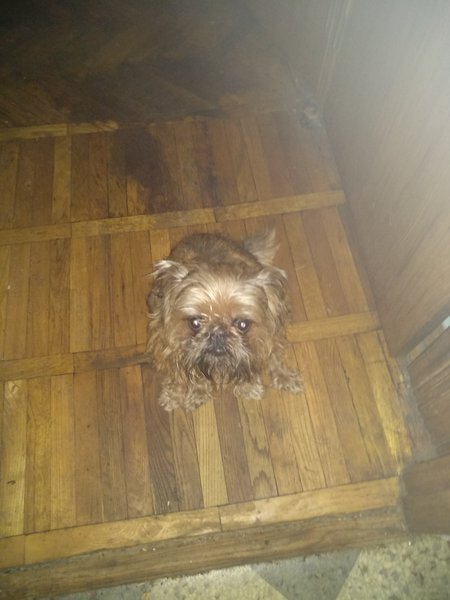 IMG_20190204_210907.jpg (1.07 MiB) Просмотров: 3893 IMG_20190204_210907.jpg