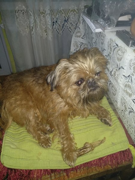 IMG_20190114_174707.jpg (4.13 MiB) Просмотров: 3775 IMG_20190114_174707.jpg