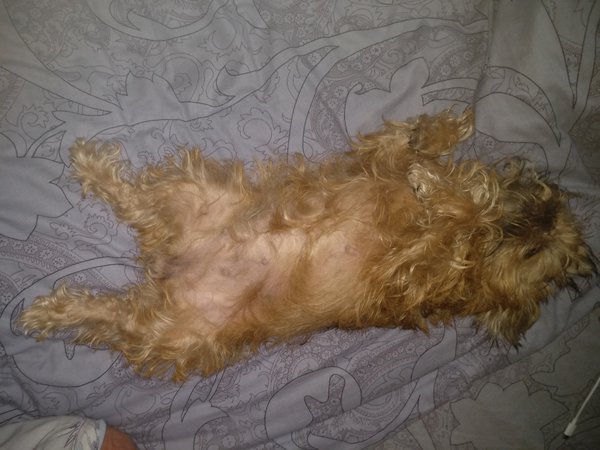 IMG_20190221_211406.jpg (1.32 MiB) Просмотров: 3768 IMG_20190221_211406.jpg