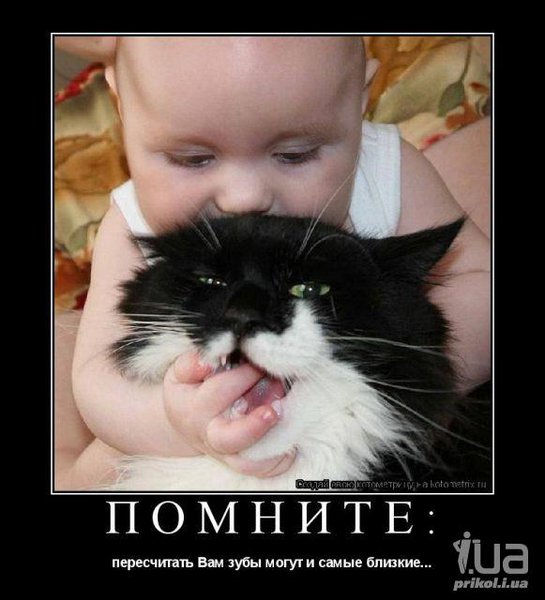 594448.jpg (42.74 KiB) Просмотров: 2876 594448.jpg