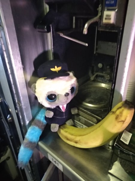 IMG_20190405_172344.jpg (778.36 KiB) Просмотров: 1239 IMG_20190405_172344.jpg