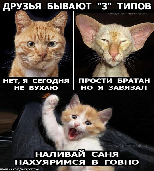 IMG-40e7d5c7fc807c2049dbe8419e74914b-V.jpg (119.6 KiB) Просмотров: 4362 IMG-40e7d5c7fc807c2049dbe8419e74914b-V.jpg