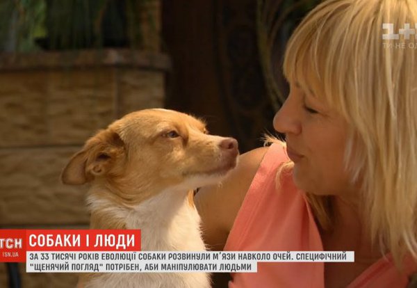 bcb5d64c06a69e71.jpg (40.62 KiB) Просмотров: 2461 bcb5d64c06a69e71.jpg