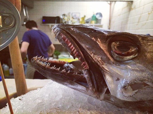 5c4ebfd9172b9686648730.jpg (274.74 KiB) Просмотров: 1348 5c4ebfd9172b9686648730.jpg