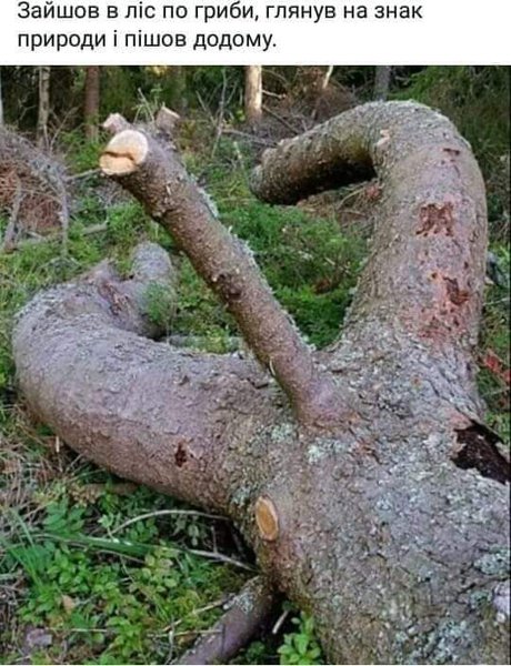 IMG-6c1b4f9911d81704180b10493cc2fb46-V.jpg (64.85 KiB) Просмотров: 3242 IMG-6c1b4f9911d81704180b10493cc2fb46-V.jpg