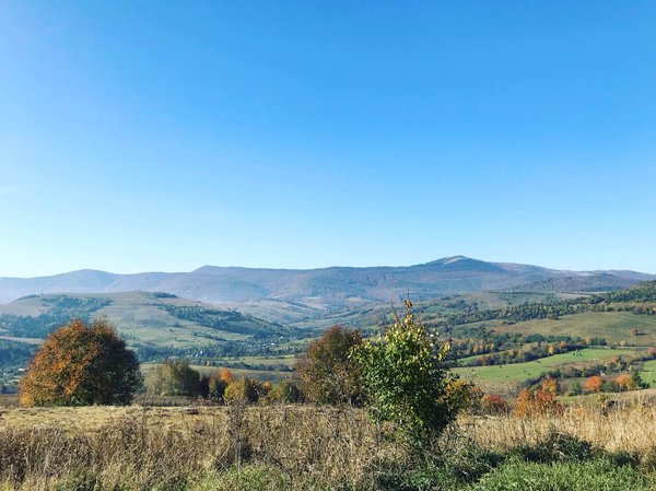 IMG-04afc74949b84699dc5fb860fa3669eb-V.jpg (233.19 KiB) Просмотров: 2147 IMG-04afc74949b84699dc5fb860fa3669eb-V.jpg