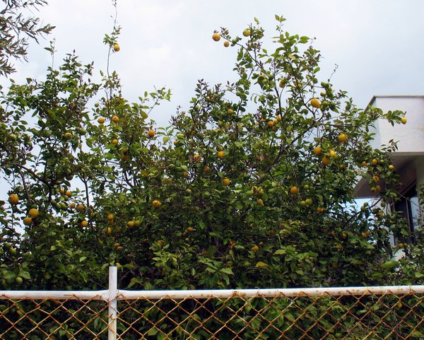 Img_22.jpg (2.43 MiB) Просмотров: 2006 Img_22.jpg