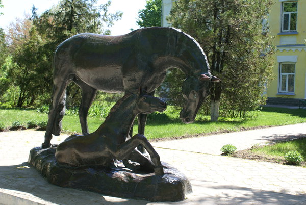 Dibrivka-konezavod 113.jpg (3.29 MiB) Просмотров: 1444 Dibrivka-konezavod 113.jpg