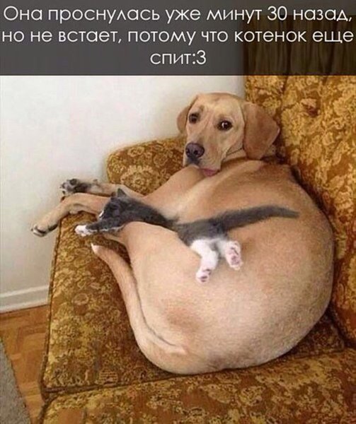 Barda-11.jpg (90.81 KiB) Просмотров: 1714 Barda-11.jpg