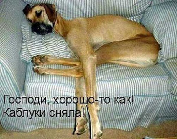 Barda-5.jpg (79.12 KiB) Просмотров: 1714 Barda-5.jpg